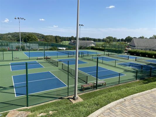 assistant_racquets_professional