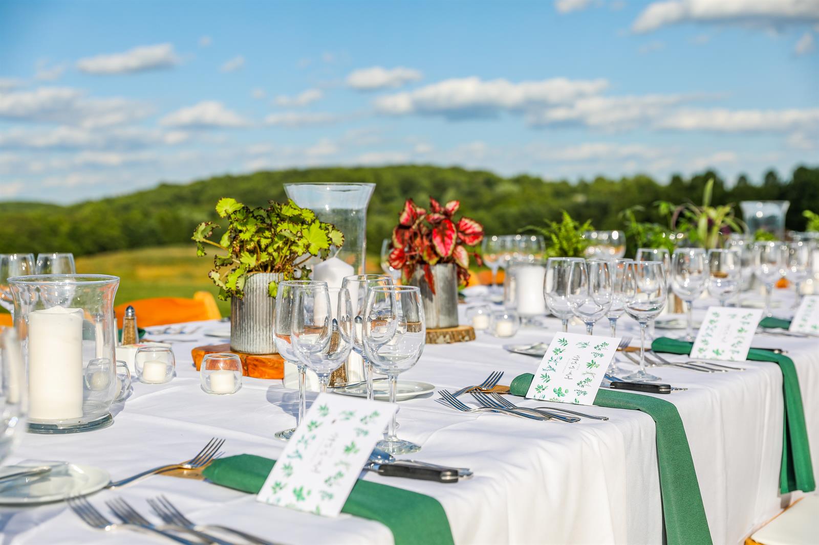 assistant_racquets_professional